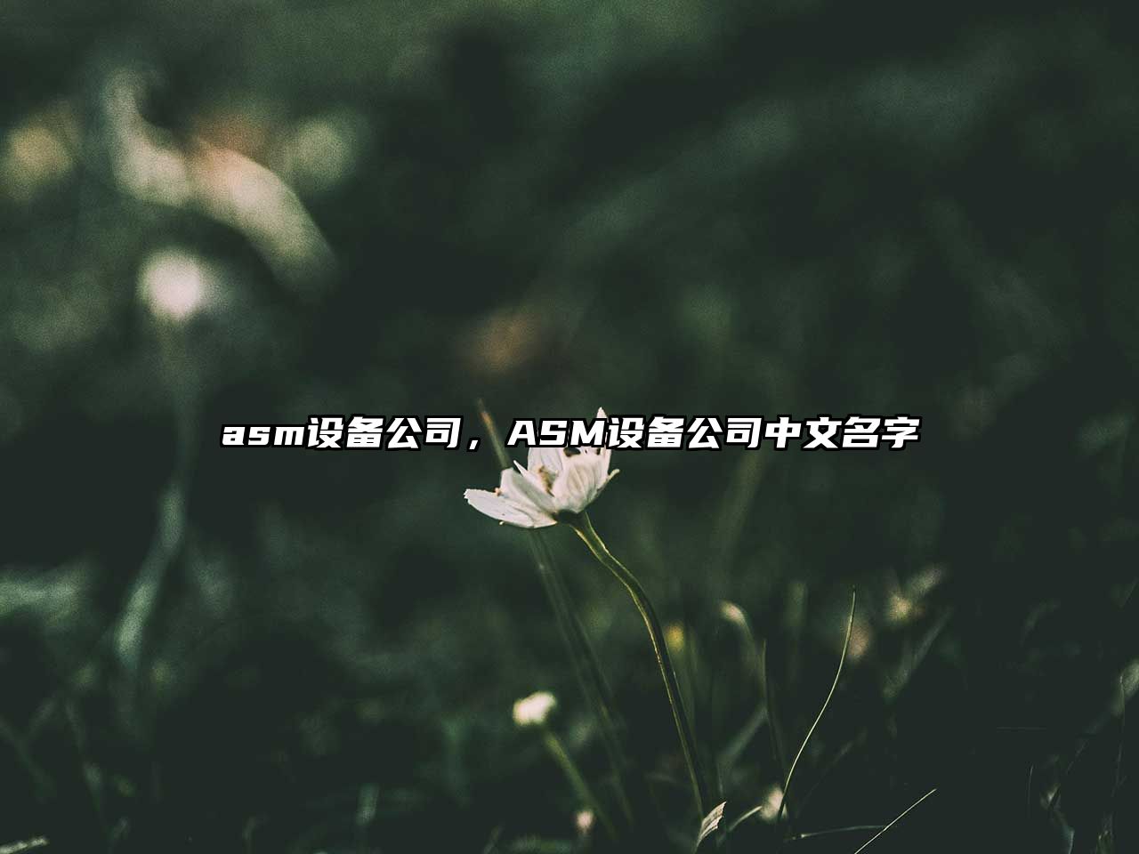 asm設(shè)備公司，ASM設(shè)備公司中文名字